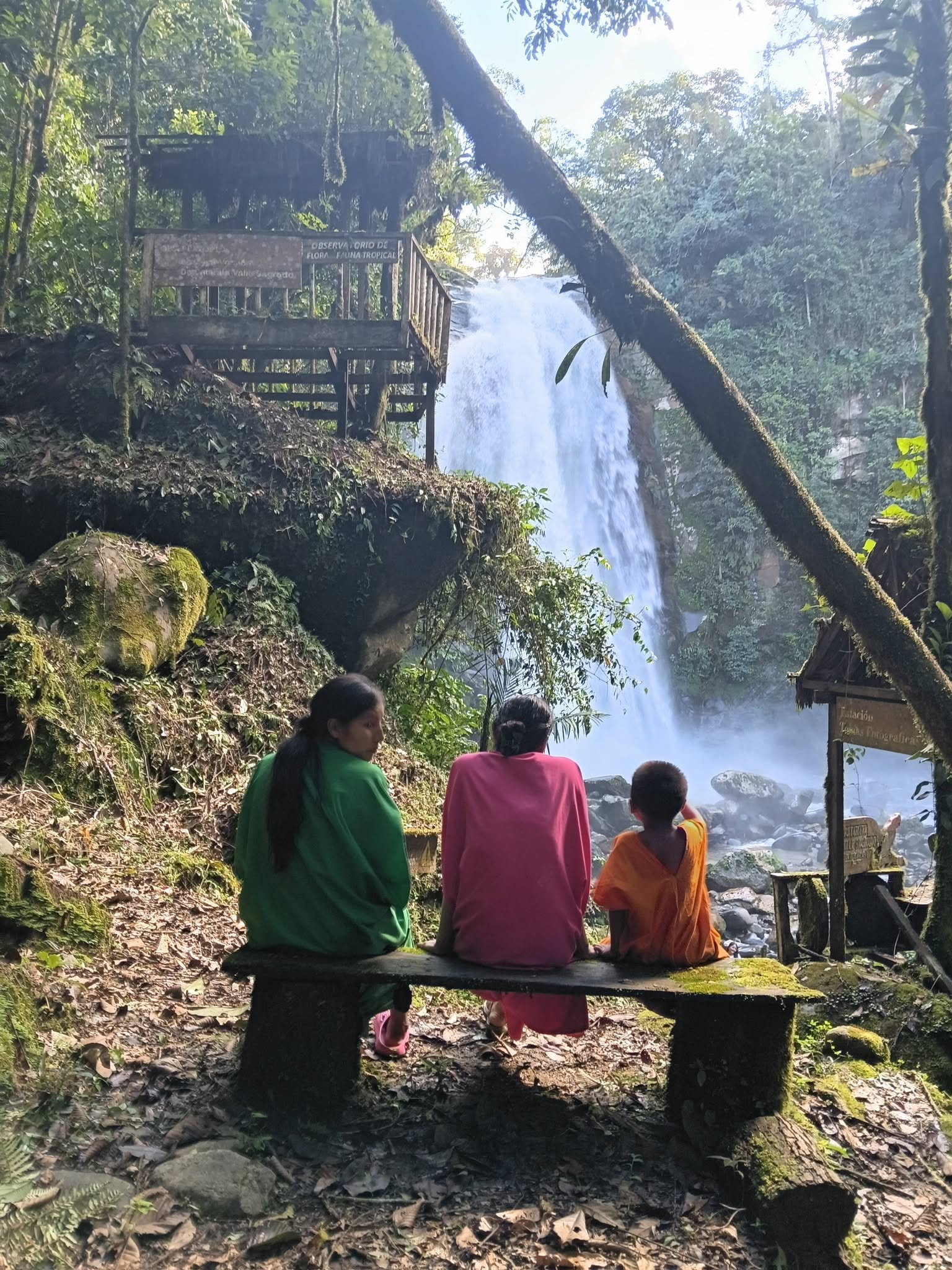 Catarata Observatorio en la densa selva amazónica